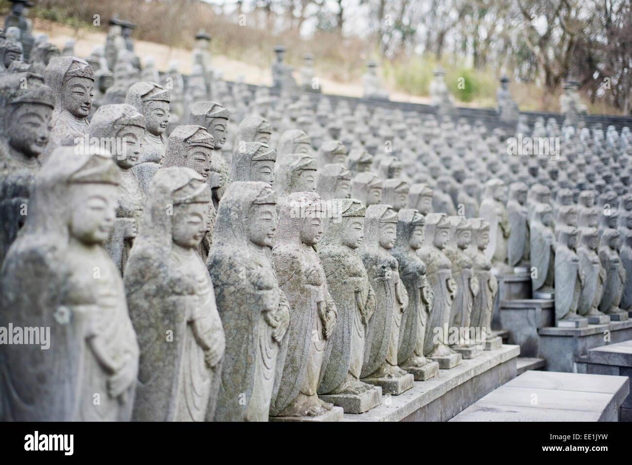 Statues, Gwaneumsa Temple Bouddhiste, l'île de Jeju, Corée du Sud, Asie Banque D'Images
