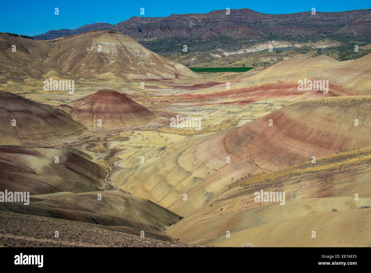 Les collines colorées de la collines peintes dans l'unité de John Day Fossil jumeaux National Monument, Oregon, United States of America Banque D'Images