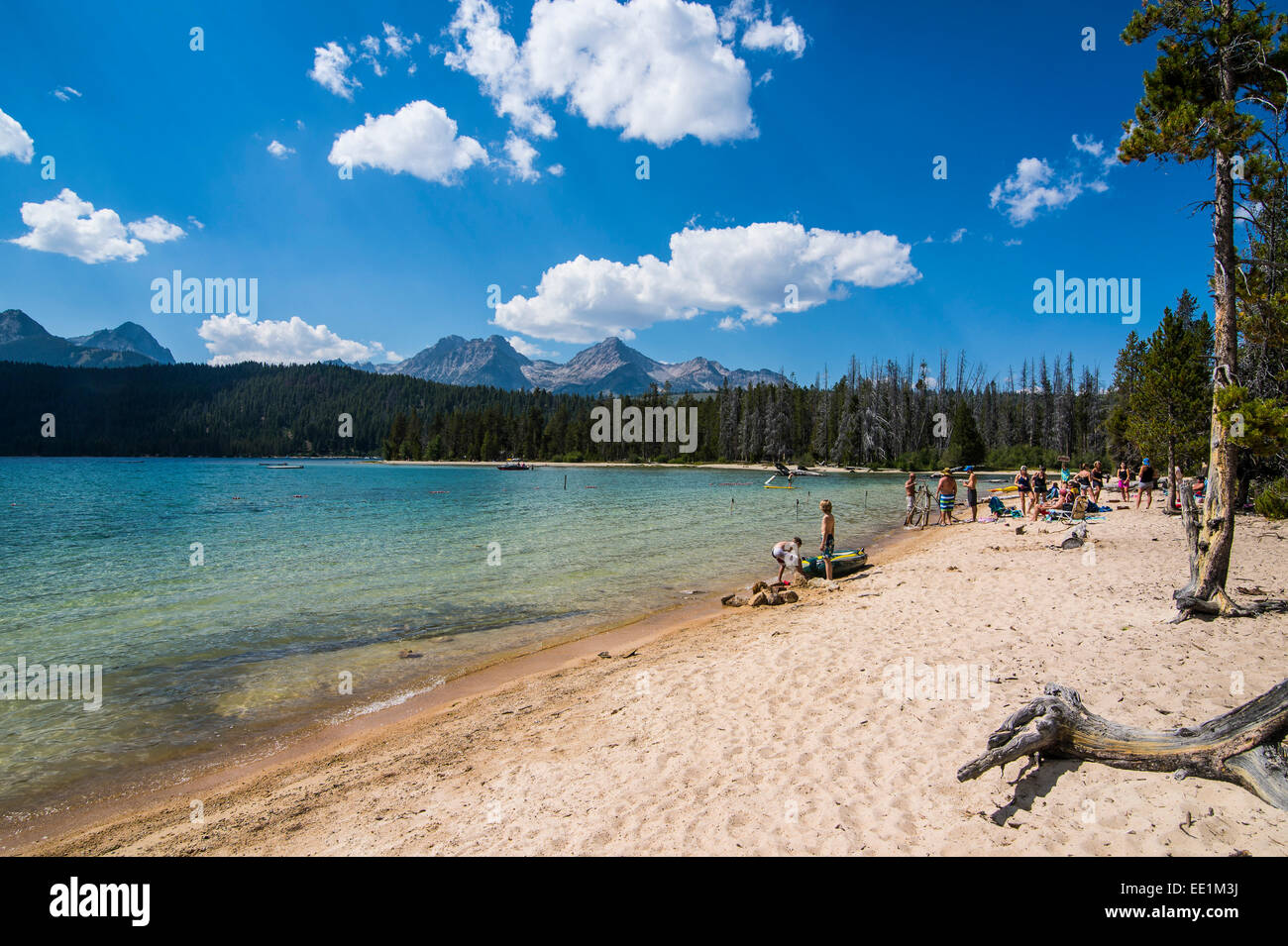 Plage de sable sur le lac de sébaste dans une vallée au nord de Sun Valley, dents de scie National Forest, Virginia, United States of America Banque D'Images