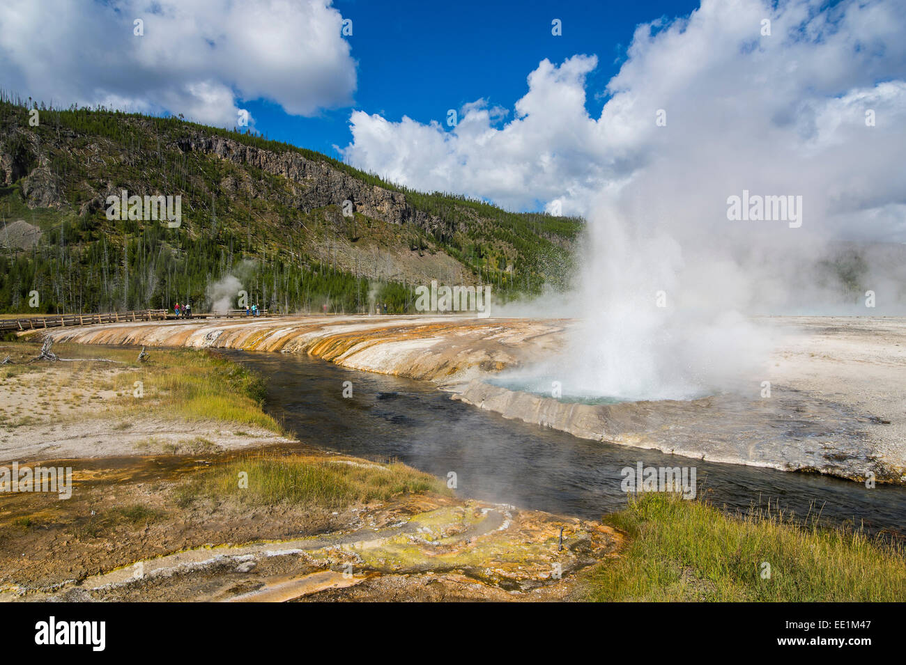 Cliff Geyser dans le bassin de sable noir, Parc National de Yellowstone, UNESCO World Heritage Site, Wyoming, USA Banque D'Images