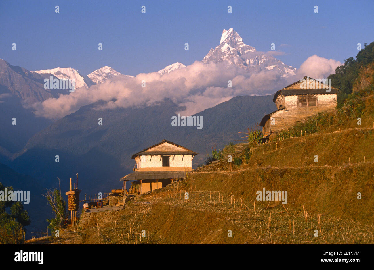 Maisons dans Chandrakot Macchapuchare avec 'Chambre' derrière la montagne, d'Annapurna Banque D'Images