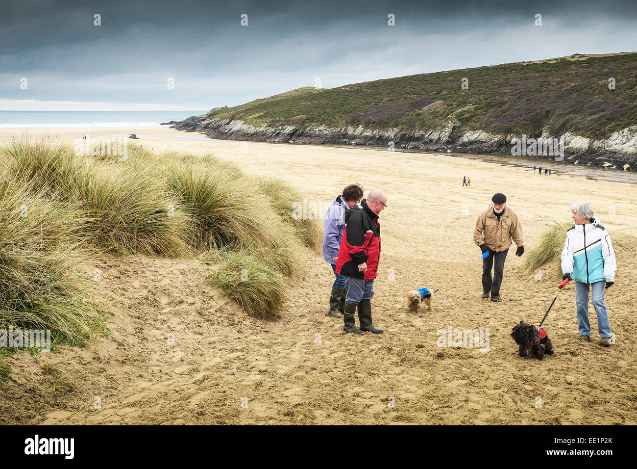 Dog Walkers sur plage de Crantock à Newquay, Cornwall. Banque D'Images