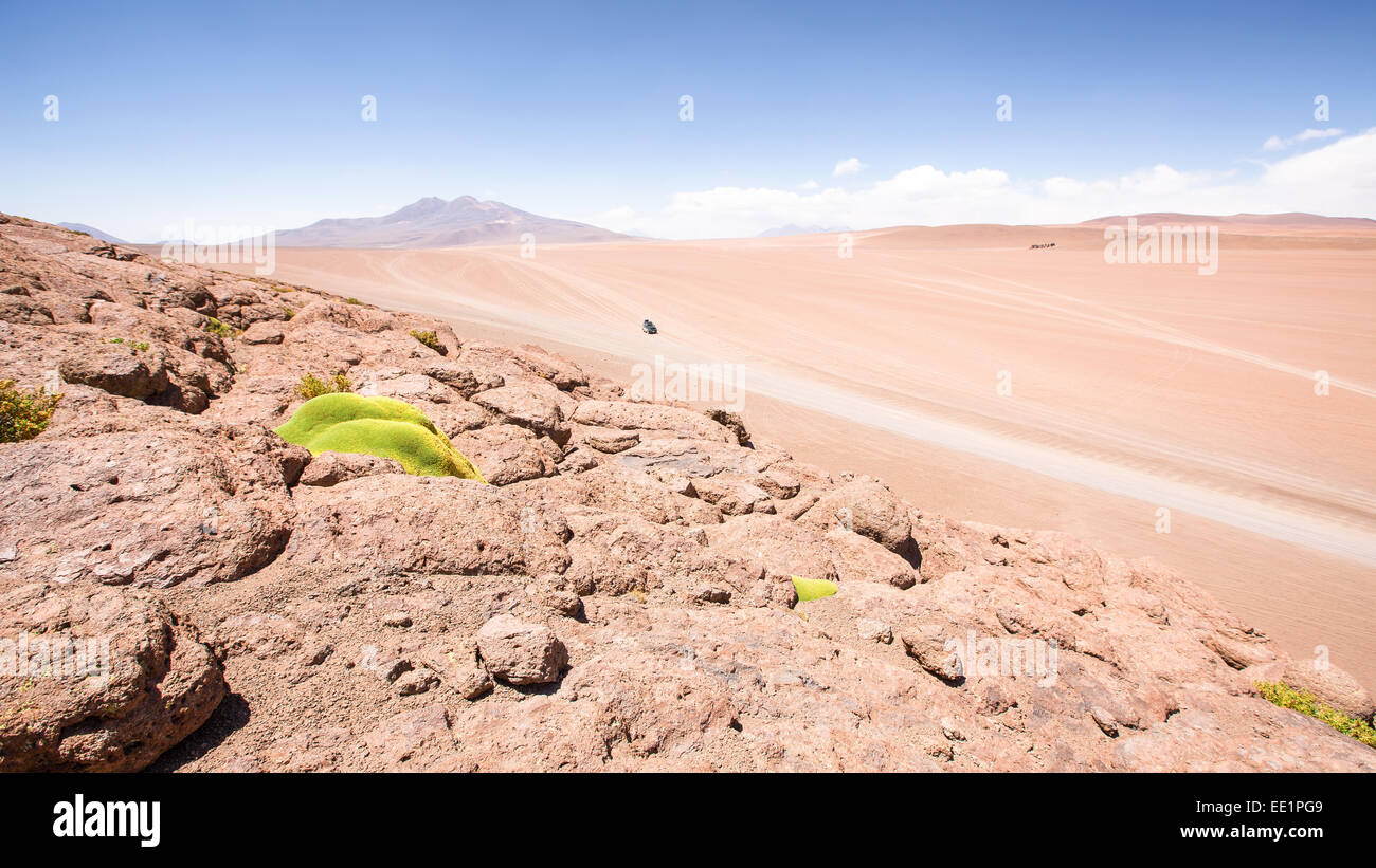 Au désert d'Uyuni, Bolivie, l'Altiplano, l'Amérique du Sud Banque D'Images