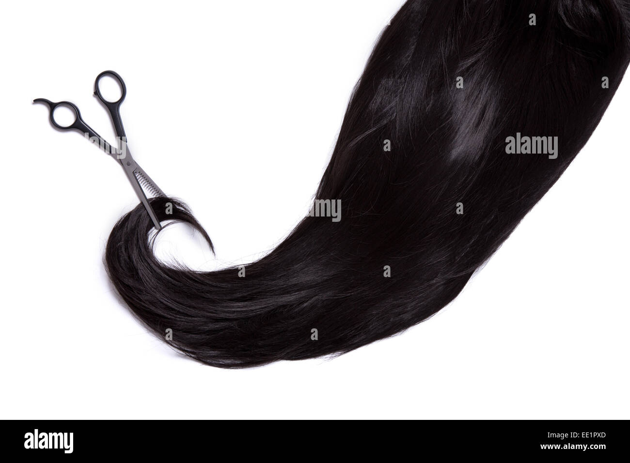 De longs cheveux noirs avec des ciseaux professionnels, isolé sur fond blanc Banque D'Images