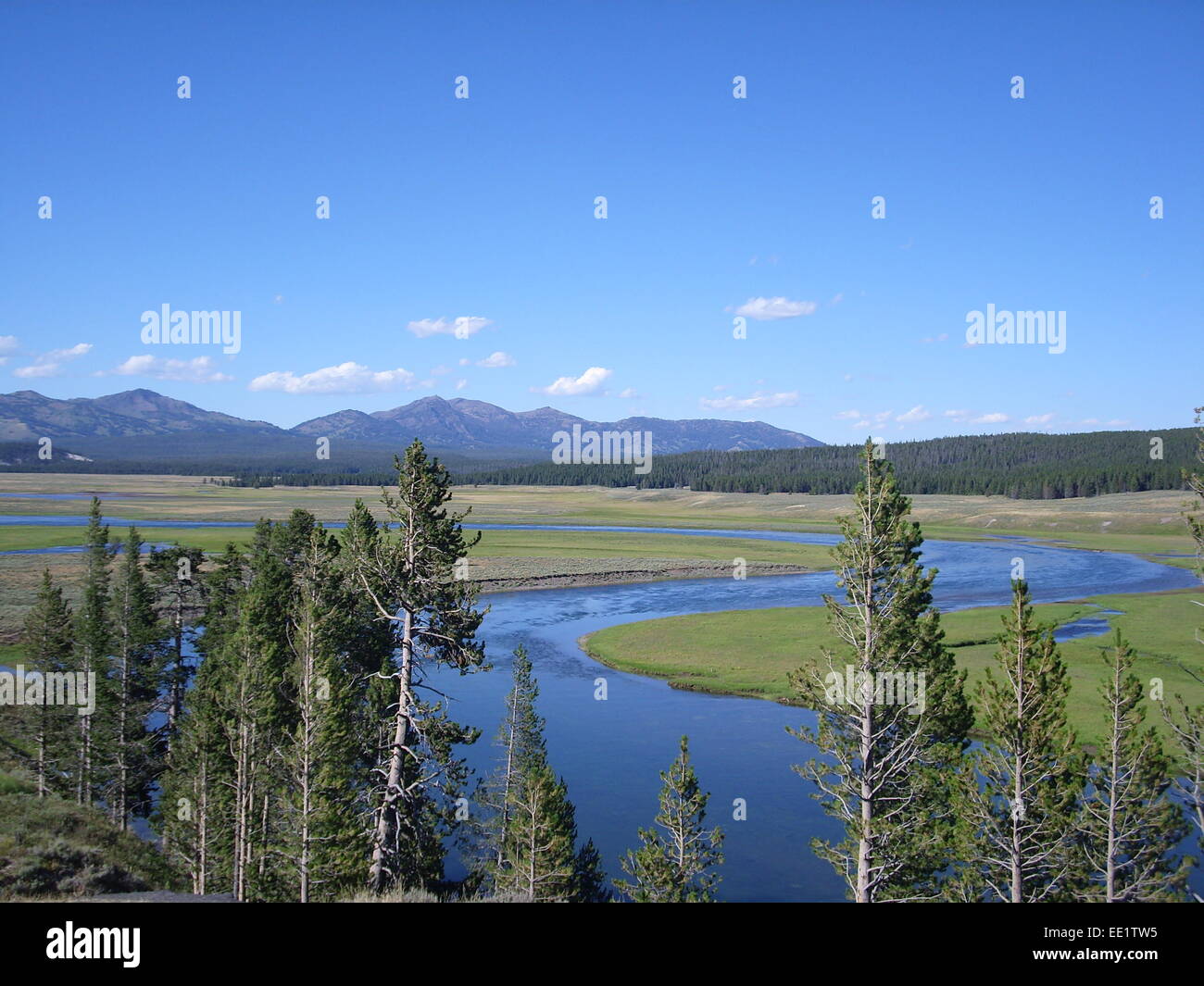 Vue paysage de Yellowstone National Park Meadows. USA Banque D'Images