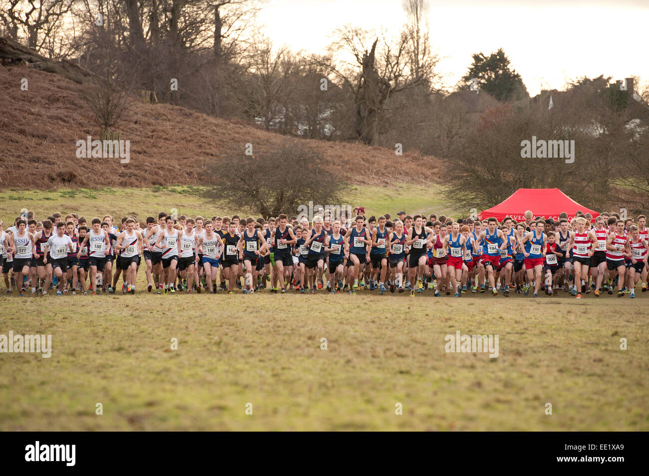 L'Assemblée Knole Run Sevenoaks School cross country senior jeunesse 1516 17 ans 6 équipes de six mile run dans la course d'endurance difficiles Banque D'Images L'Assemblée Knole Run Sevenoaks School cross country senior jeunesse 1516 17 ans 6 équipes de six mile run dans la course d'endurance difficiles Banque D'Images