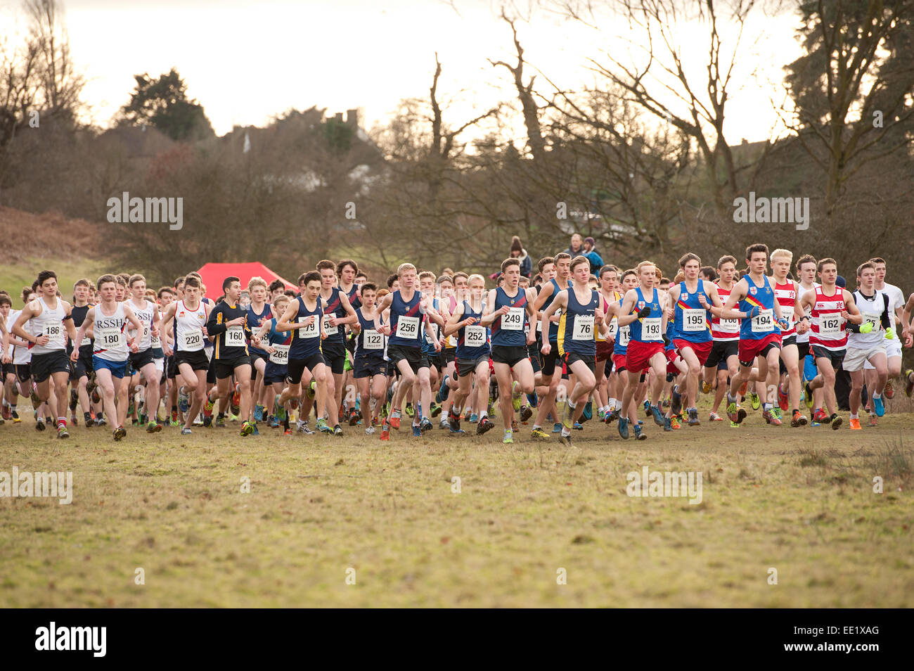L'Assemblée Knole Run Sevenoaks School cross country senior jeunesse 1516 17 ans 6 équipes de six mile run dans la course d'endurance difficiles Banque D'Images L'Assemblée Knole Run Sevenoaks School cross country senior jeunesse 1516 17 ans 6 équipes de six mile run dans la course d'endurance difficiles Banque D'Images