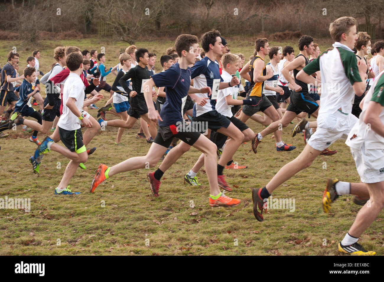 L'Assemblée Knole Run Sevenoaks School cross country senior jeunesse 1516 17 ans 6 équipes de six mile run dans la course d'endurance difficiles Banque D'Images L'Assemblée Knole Run Sevenoaks School cross country senior jeunesse 1516 17 ans 6 équipes de six mile run dans la course d'endurance difficiles Banque D'Images