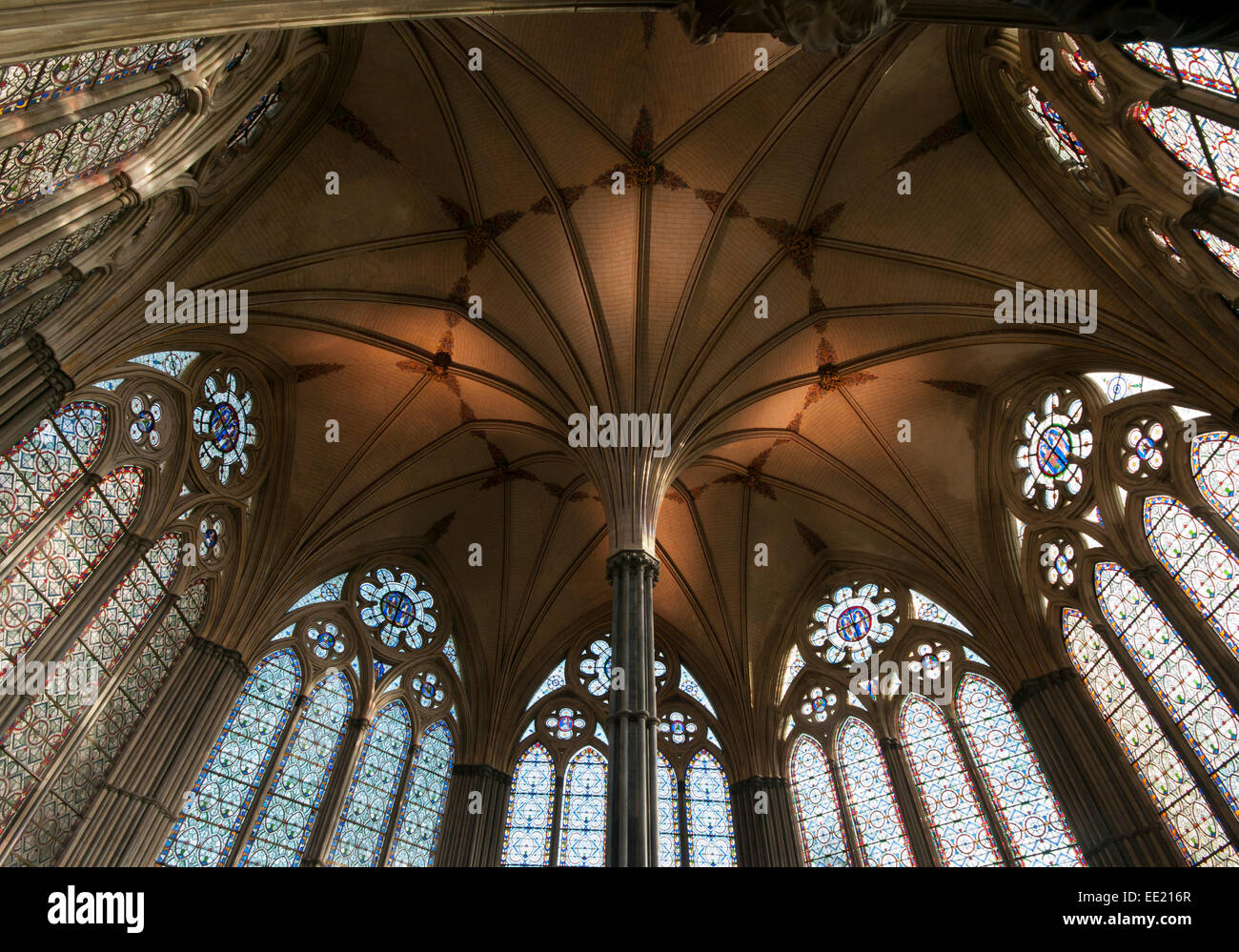 Toit décoratif et vitraux de la cathédrale de Salisbury Wiltshire Chapter House UK qui abritent une copie originale de la Banque D'Images