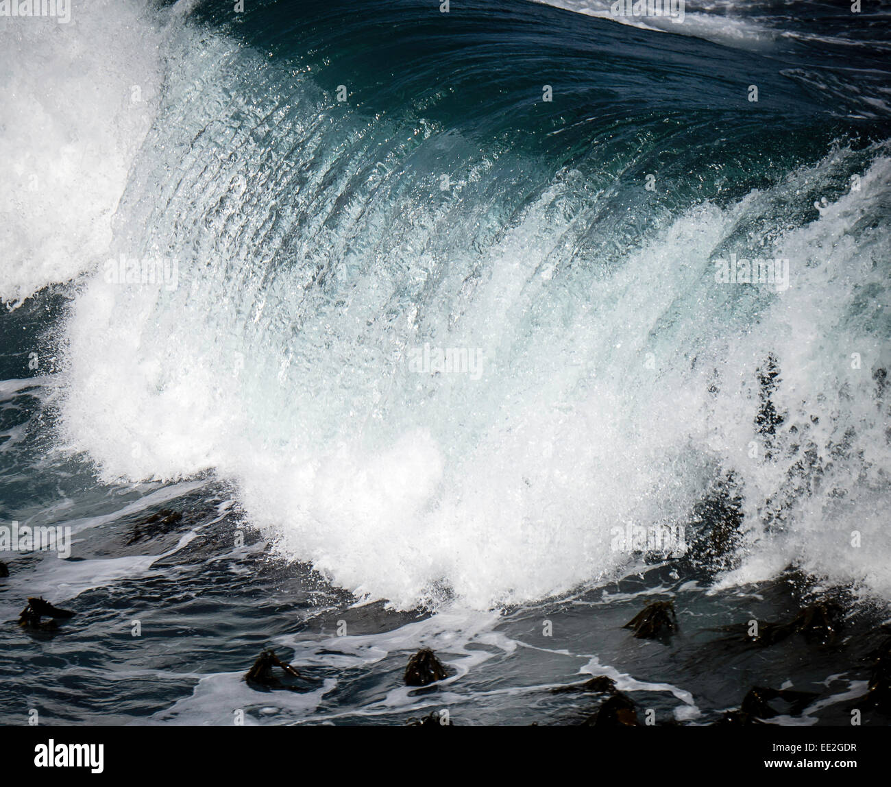 Un rouleau de l'Atlantique Sud en rupture vague Hermanus, Western Cape, Afrique du Sud. Hermanus est célèbre pour l'observation des baleines. Banque D'Images