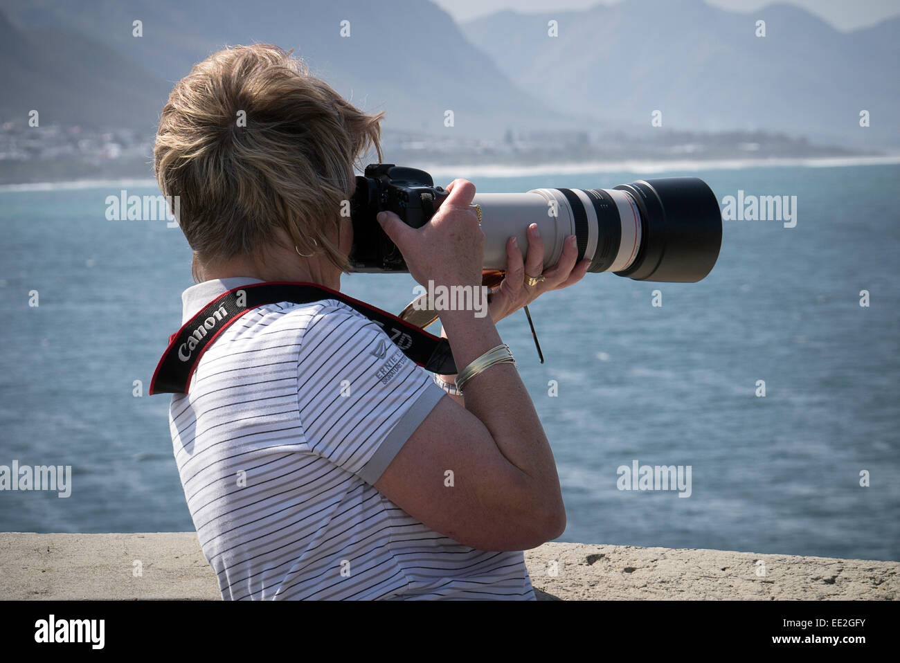 Une femme de photographier les baleines australes à Hermanus dans le Western Cape, Afrique du Sud. Elle est à l'aide d'un reflex numérique Canon. Banque D'Images