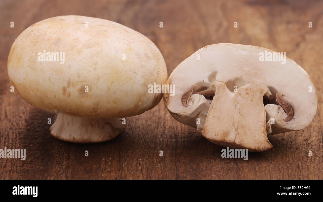 Close up de Champignon Banque D'Images