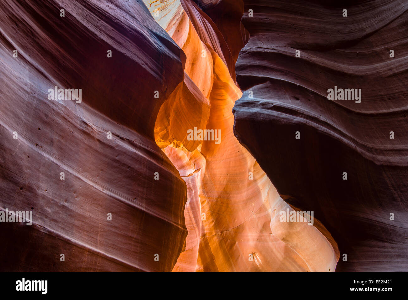 Upper Antelope Canyon Navajo Tribal Park, Page, Arizona, USA Banque D'Images