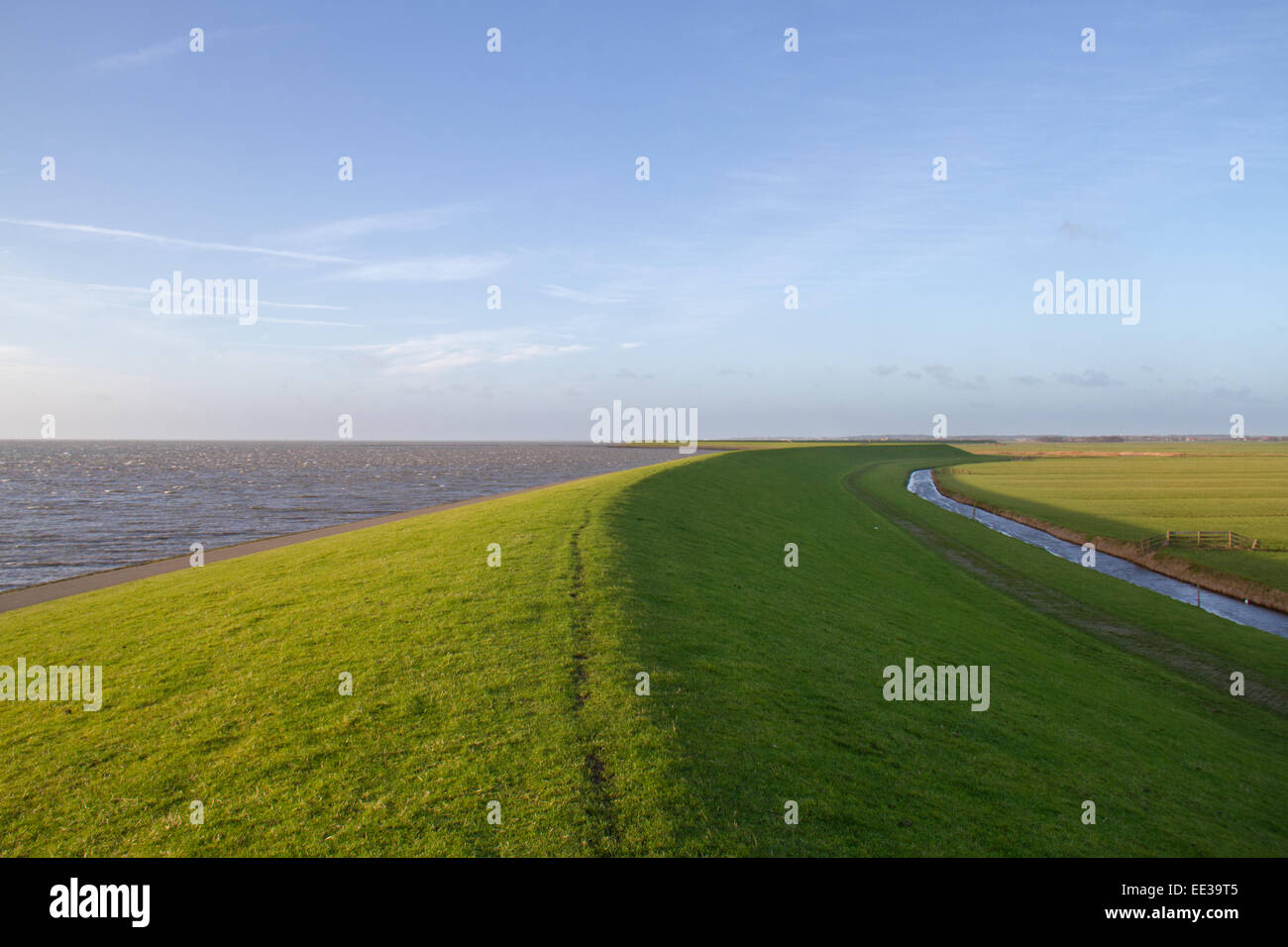 Une digue sur l'île néerlandaise de Terschelling cultivé avec de l'herbe sous un ciel bleu Banque D'Images