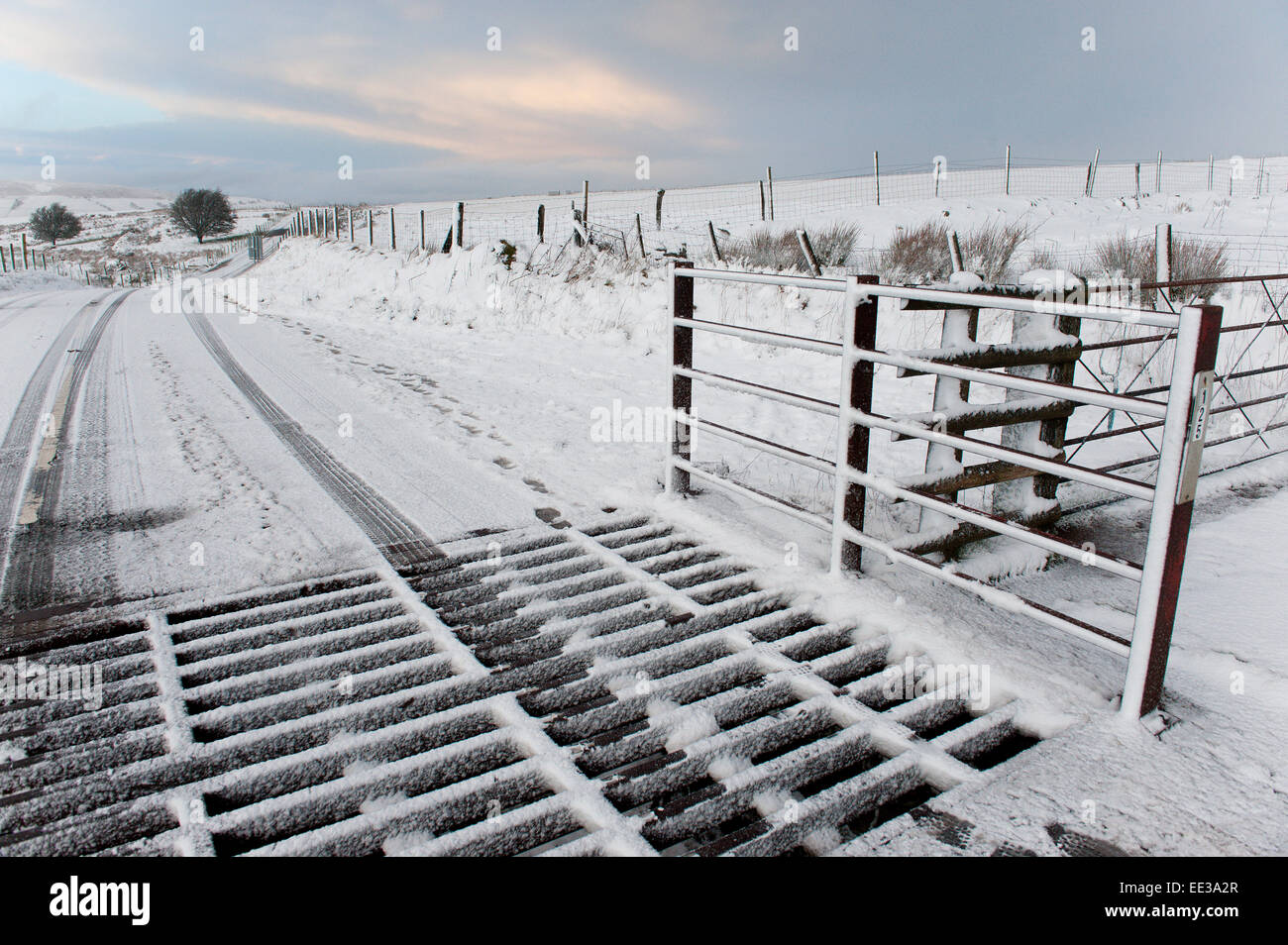 Mynydd Epynt chaîne de collines, Powys, Wales, UK. 13 janvier, 2015. Un automobiliste durs à travers un paysage d'hiver sur la B4520 sur la route des Brecon 'high moorland entre Roussillon et Brecon, sur la chaîne de collines Epynt en Powys. Chutes de neige dans la région de Mid Wales comme prévu par les prévisions météo. Credit : Graham M. Lawrence/Alamy Live News. Banque D'Images