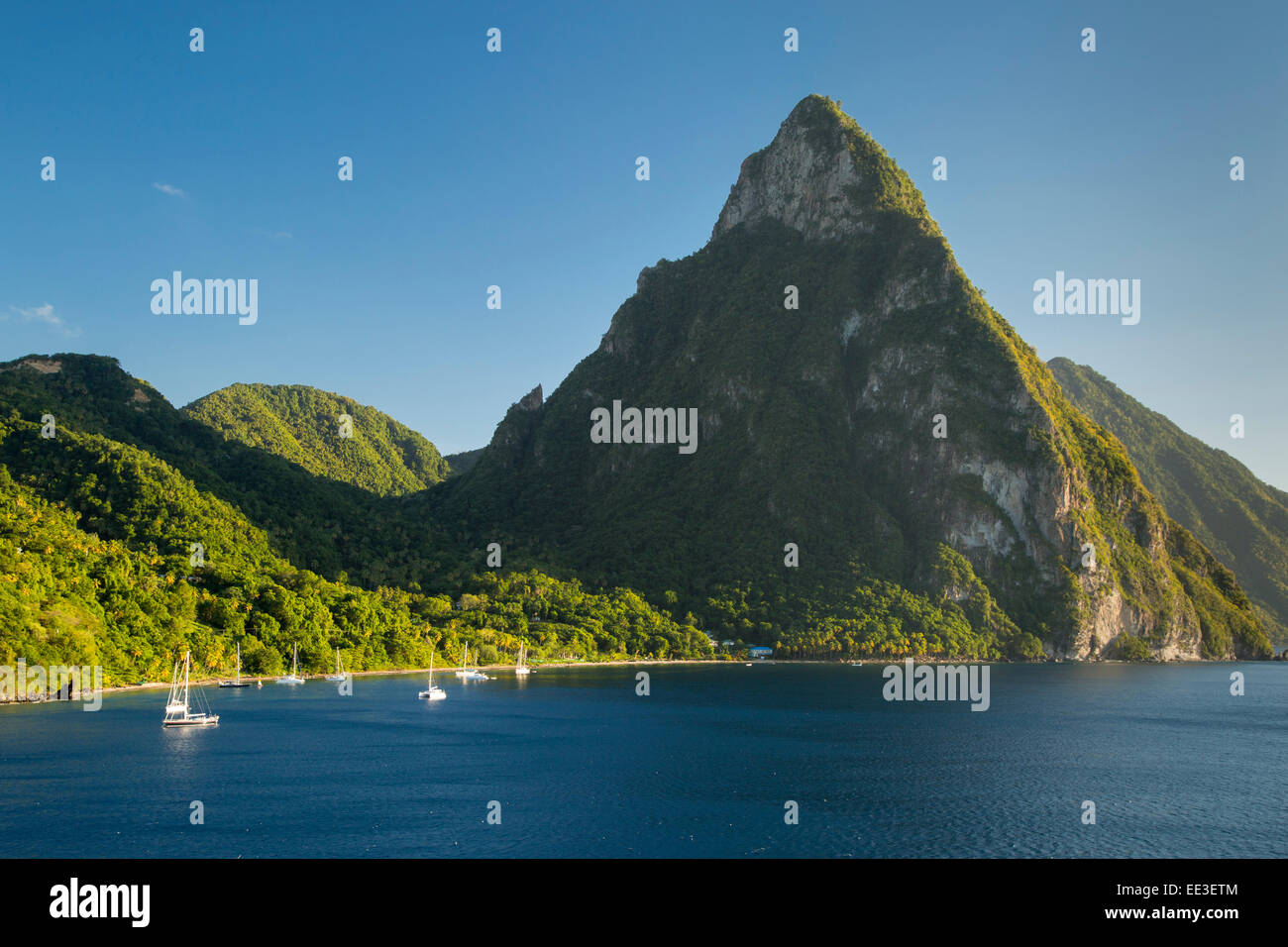 Petite Piton près de Soufrière, Sainte-Lucie, West Indies Banque D'Images