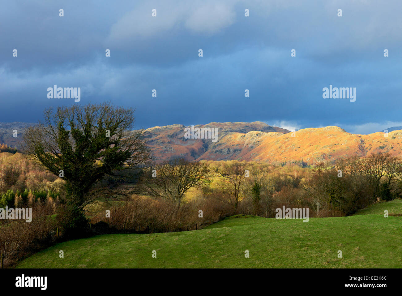 La lumière sur les collines, Little Langdale, Parc National de Lake District, Cumbria, Angleterre, Royaume-Uni Banque D'Images