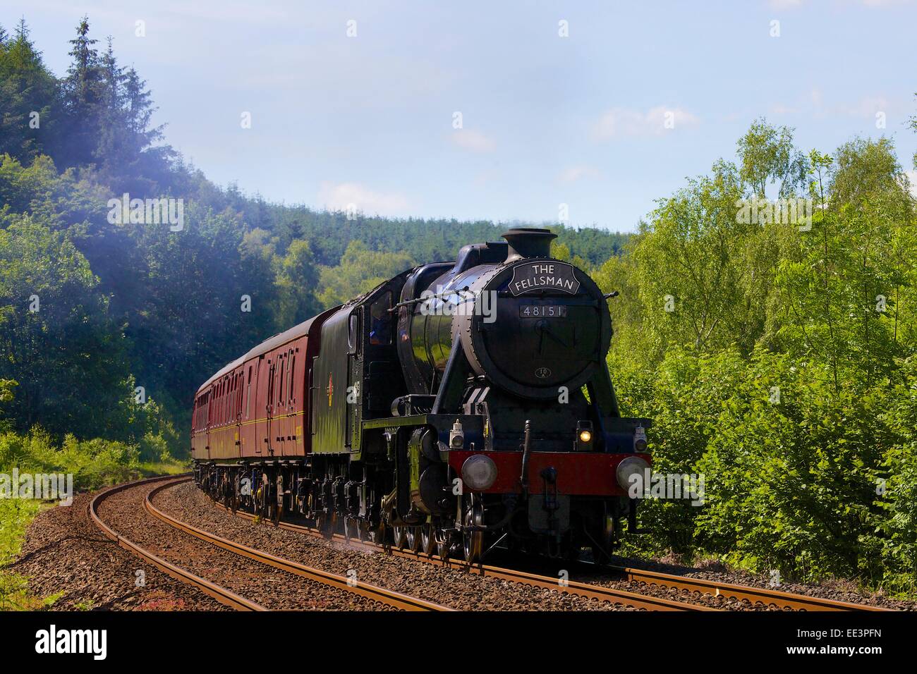 LMS Classe Stanier 8F 48151, près de train à vapeur Lazonby, Eden Valley, s'installer à Carlisle Railway Line, Cumbria, England, UK. Banque D'Images