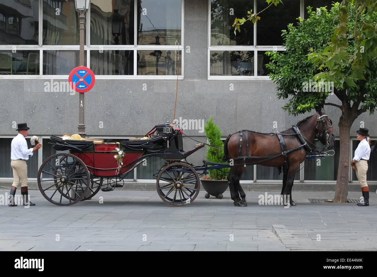 Séville, Espagne : transport de Mariage Banque D'Images