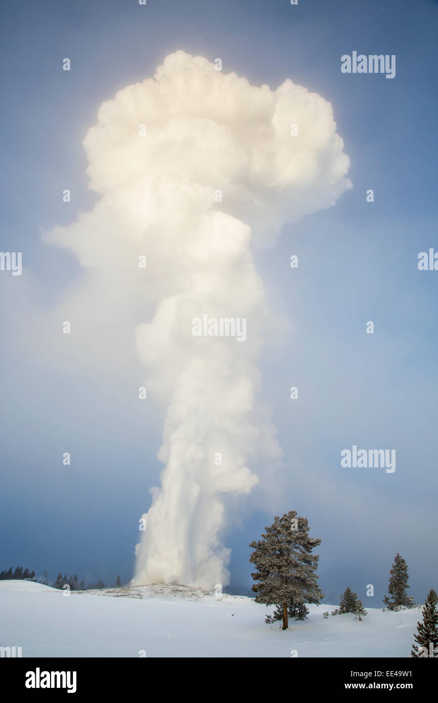 Vieux fidèles en éruption à -33 degrés pendant l'hiver dans le parc national de Yellowstone Wyoming Banque D'Images