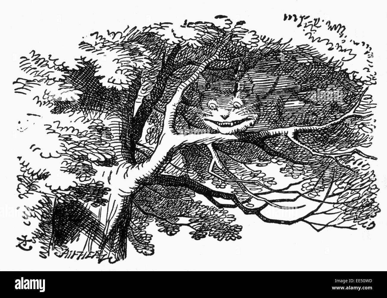 Chat de Cheshire, l'aventure d'Alice au Pays des merveilles de Lewis Carroll, Illustration, vers 1865 Banque D'Images