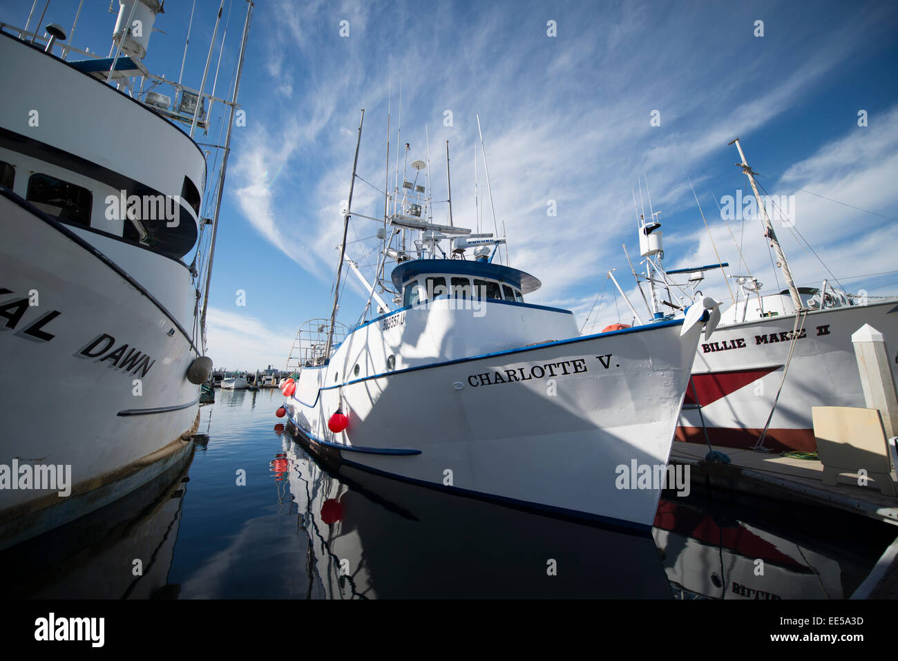 Bateaux de pêche commerciale, G Street Pier, la baie de San Diego, San Diego, California USA Banque D'Images