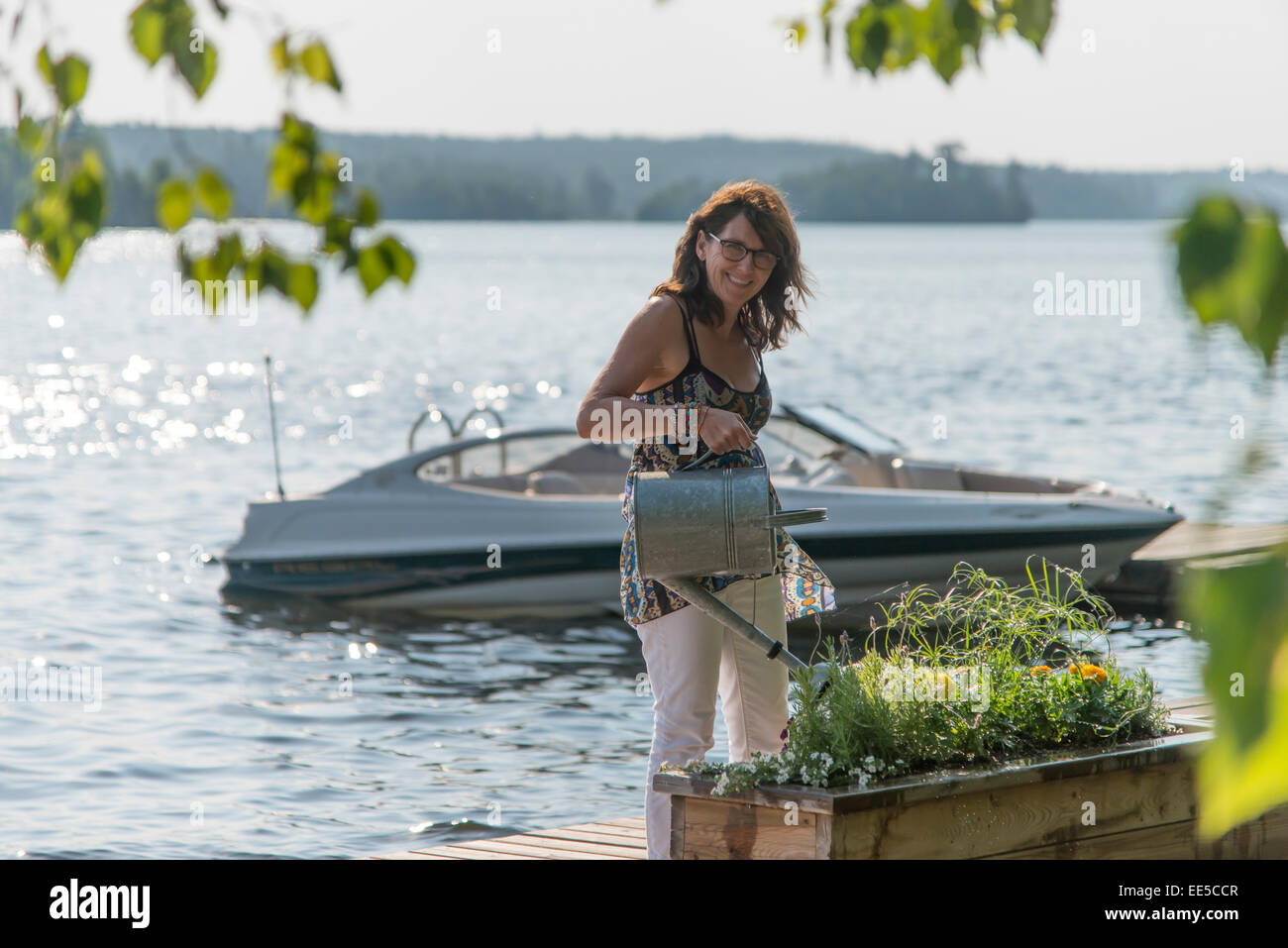 Femme l'arrosage des plantes sur un quai, le lac des Bois, Ontario, Canada Banque D'Images