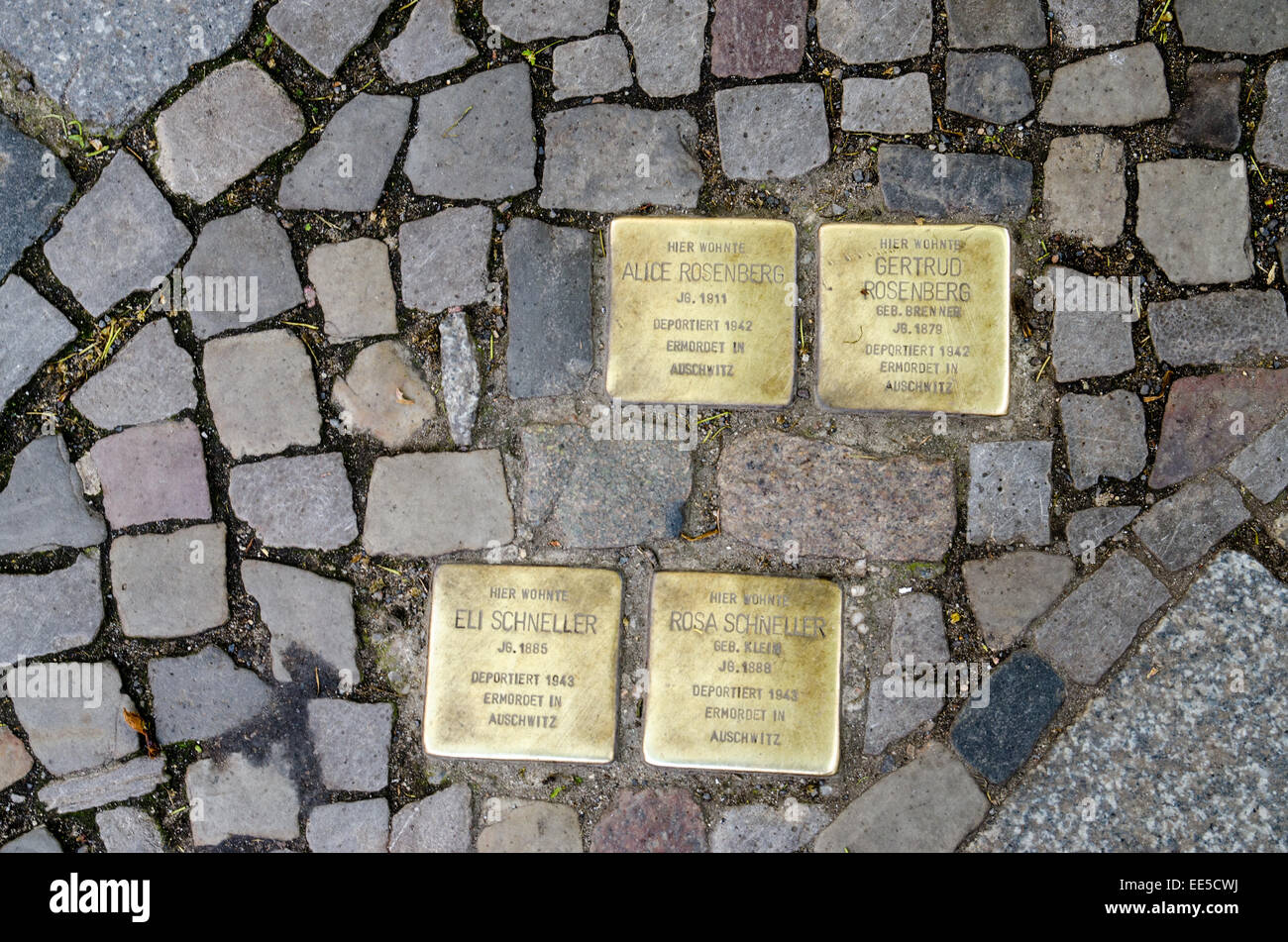 Plaques commémoratives (Stolpersteine) défini dans la chaussée à Berlin pour commémorer la déportation et le meurtre d'un Juif residant à Banque D'Images