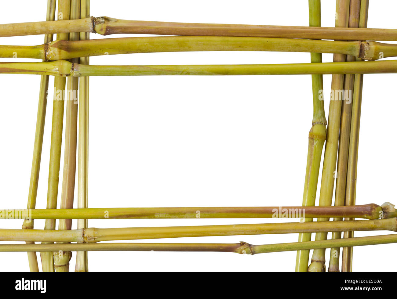 Le châssis de la nature de la lutte contre les mauvaises herbes de la tige des plantes isolées sur fond blanc et clipping path Banque D'Images