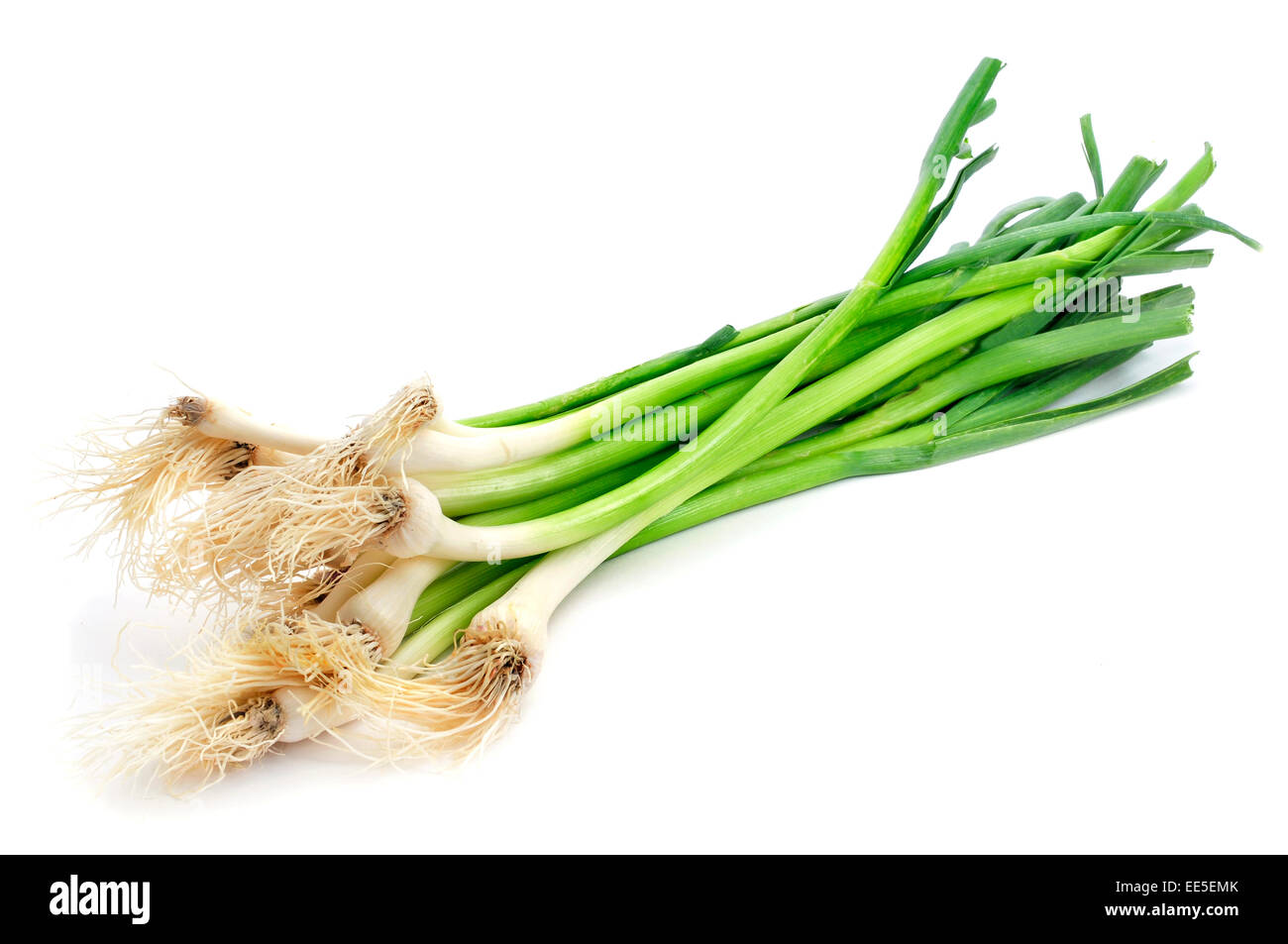 Un tas de matières premières l'ail vert sur fond blanc Banque D'Images