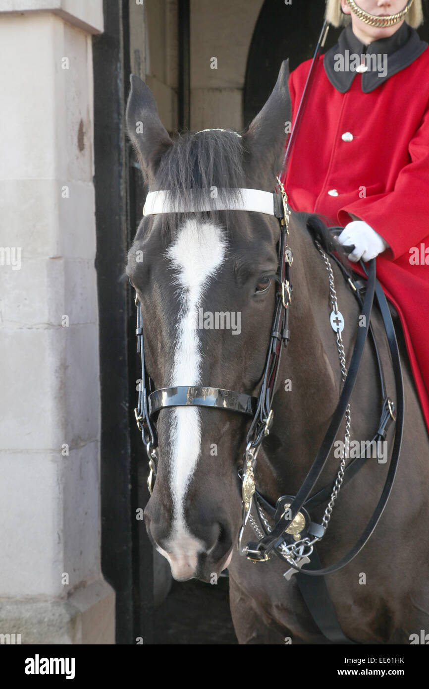 Des gardes à cheval Londres Banque D'Images