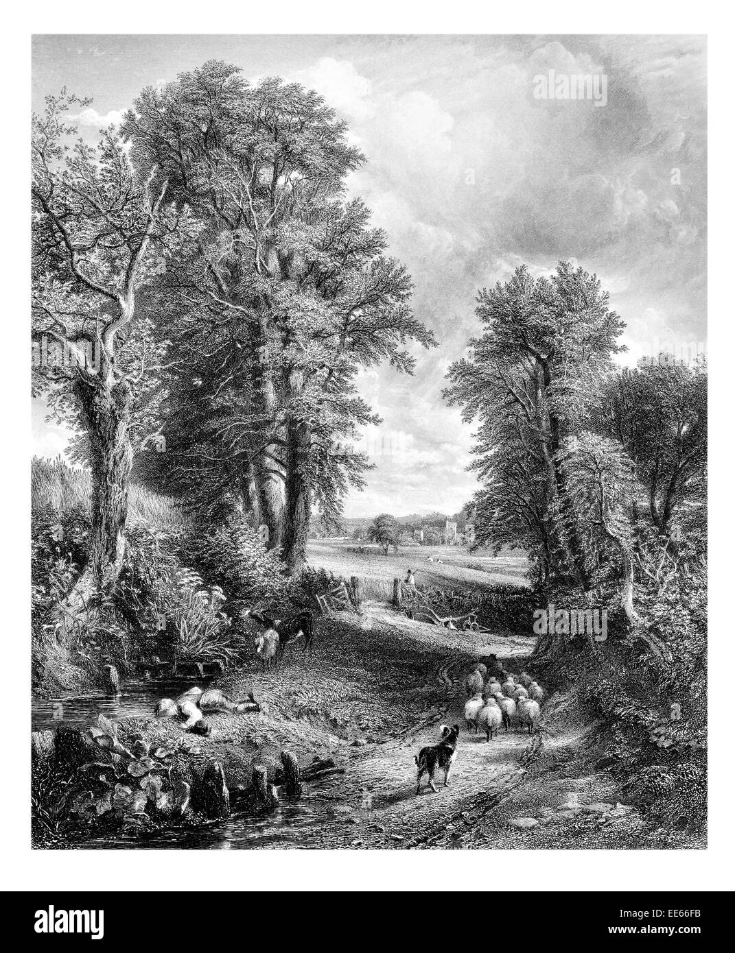 John Constable Champ de la National Gallery 1826 Essex Dedham Bergholt agriculture agriculteur berger troupeau le chien de berger country lane Banque D'Images