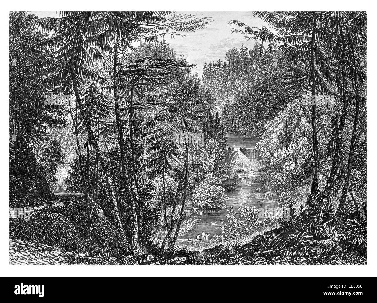 Le Thrutch p16 de la rivière Cascade piscine bois forestiers forêt jouant nager paddle Lancashire England Banque D'Images