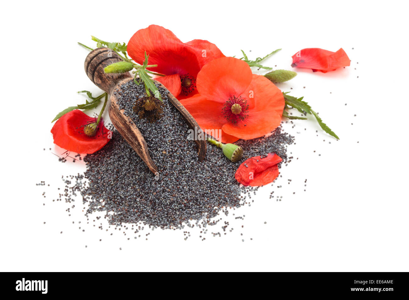 Fleur de pavot et les graines de pavot dans scoop en bois. Banque D'Images