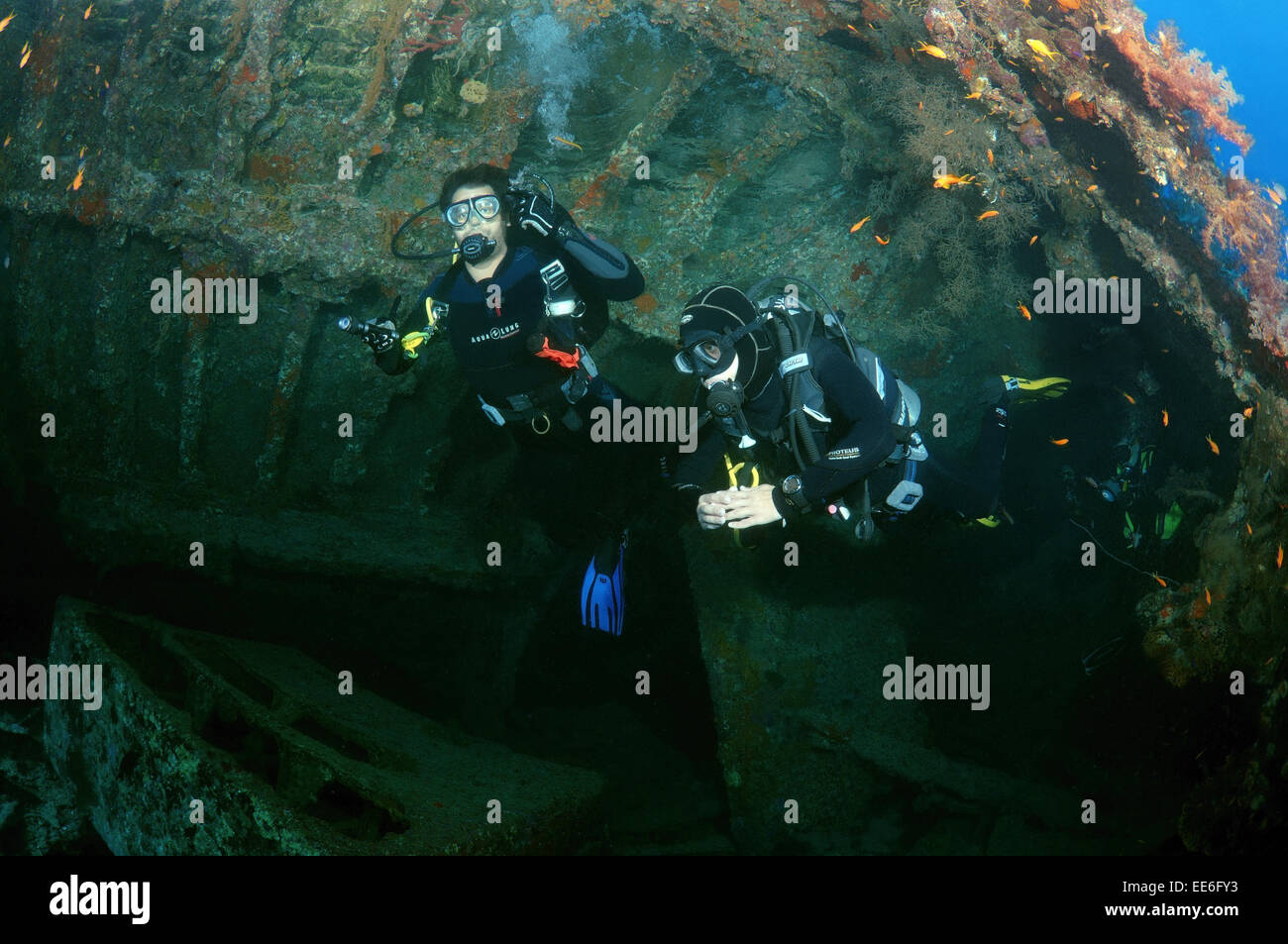 Un plongeur nage dans la cale du navire un naufrage 'SS' Dunraven, Red Sea, Egypt Banque D'Images