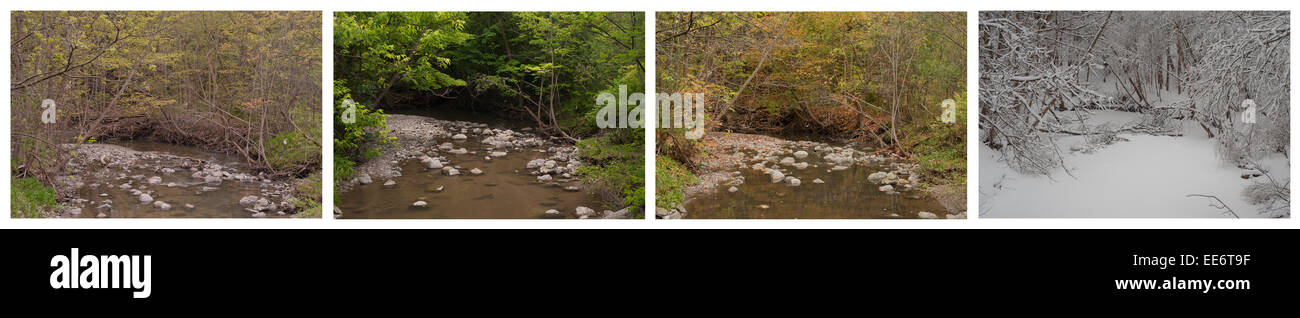 Quatre saisons illustrant la même scène. Une rivière traverse le paysage en printemps, été, automne et hiver. Quadriptych Banque D'Images