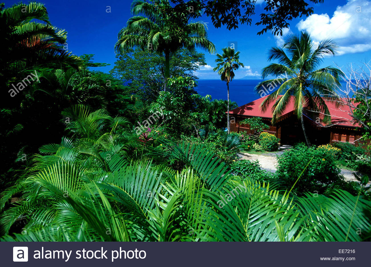 Maison De Coluche Guadeloupe Ventana Blog