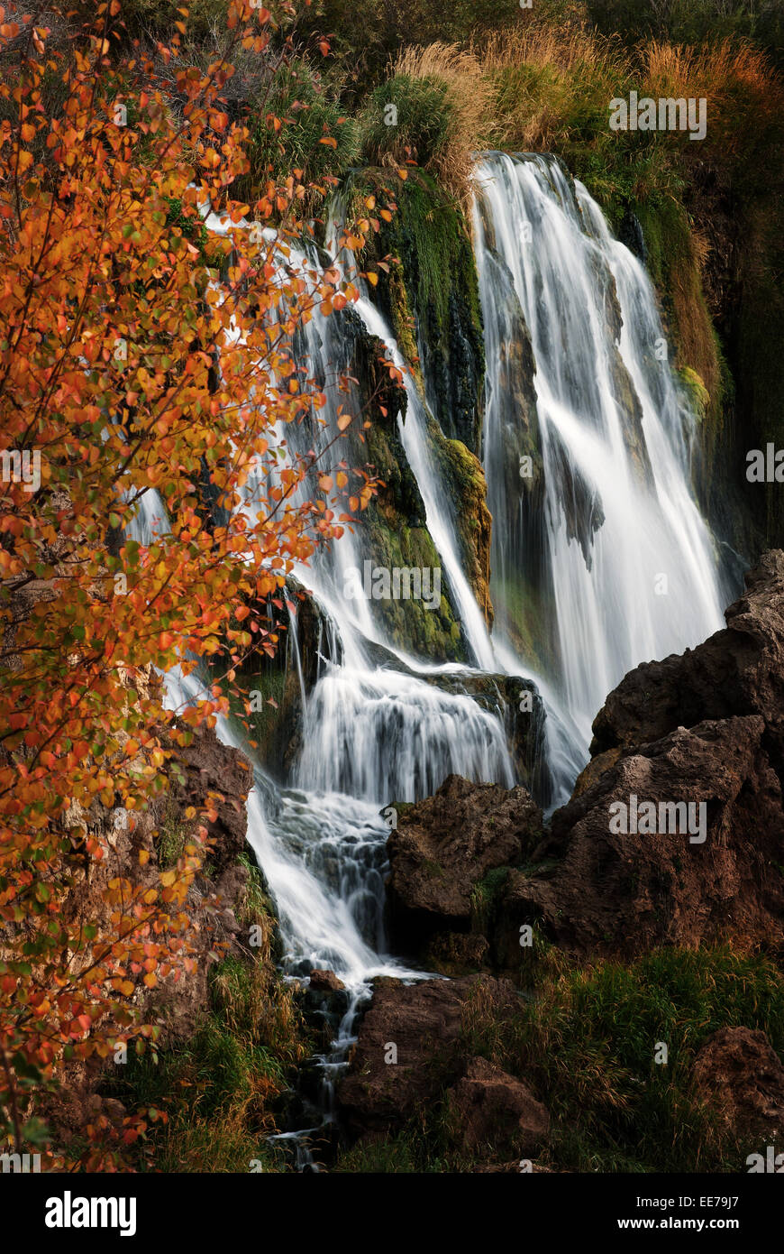 Détail de l'automne les feuilles orange avec cascade Banque D'Images