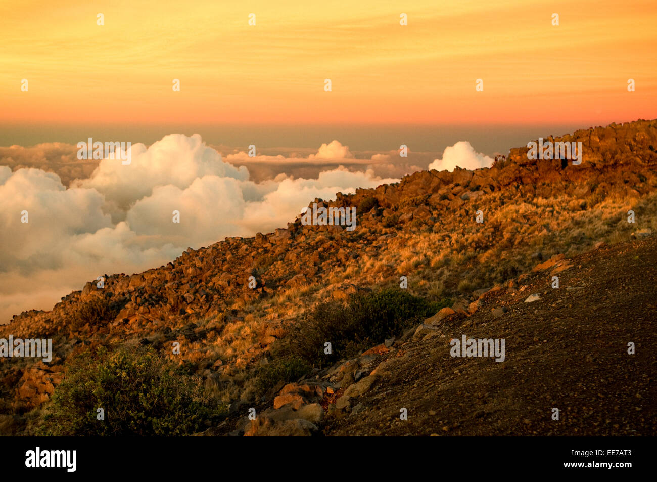 Le Parc National de Haleakala. Vues du point de vue de l'Leleiwi. Maui. Hawaii. Le Parc National de Haleakala à travers cinq gammes de dist Banque D'Images