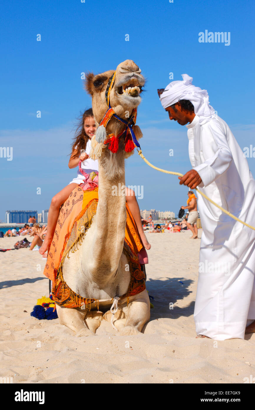 Camel sur la plage de Jumeirah, Dubaï Banque D'Images