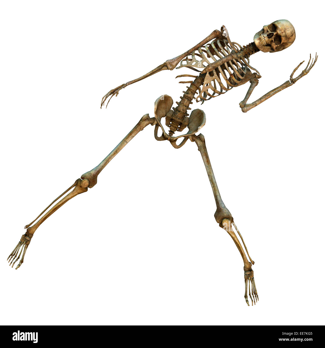 Squelette dansant Banque d'images détourées - Alamy