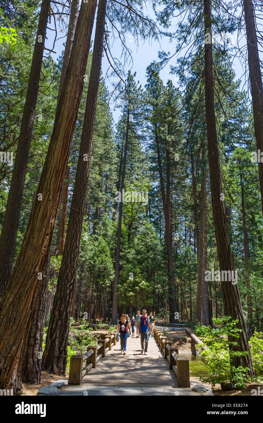 Les promeneurs sur le sentier du village de Yosemite Falls, Yosemite Yosemite Valley, Yosemite National Park, Californie du Nord, USA Banque D'Images
