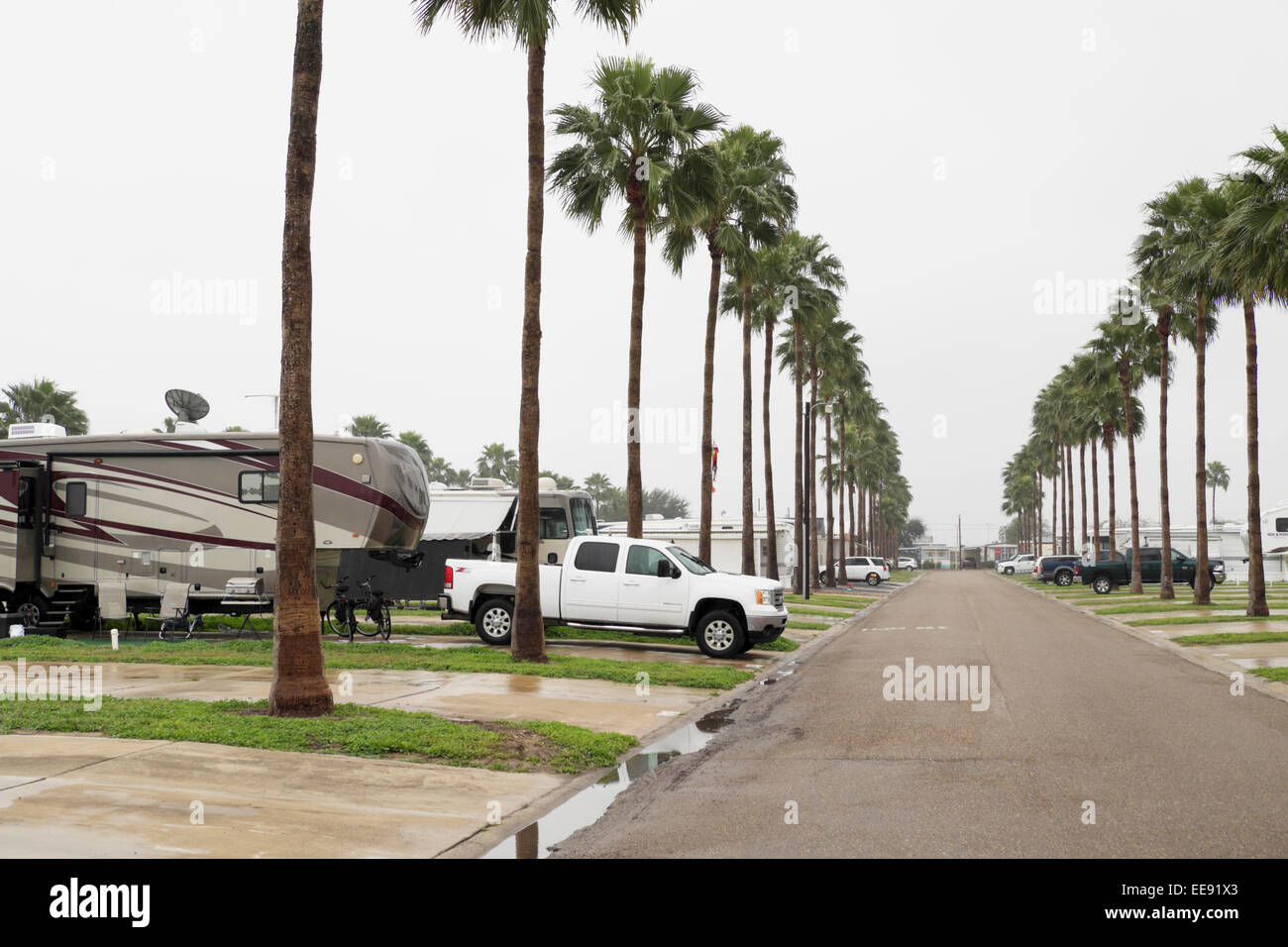 Une rue bordée de palmiers dans un parc de la retraite dans le sud du Texas, USA sur un ciel couvert, pluvieux, triste journée. Banque D'Images