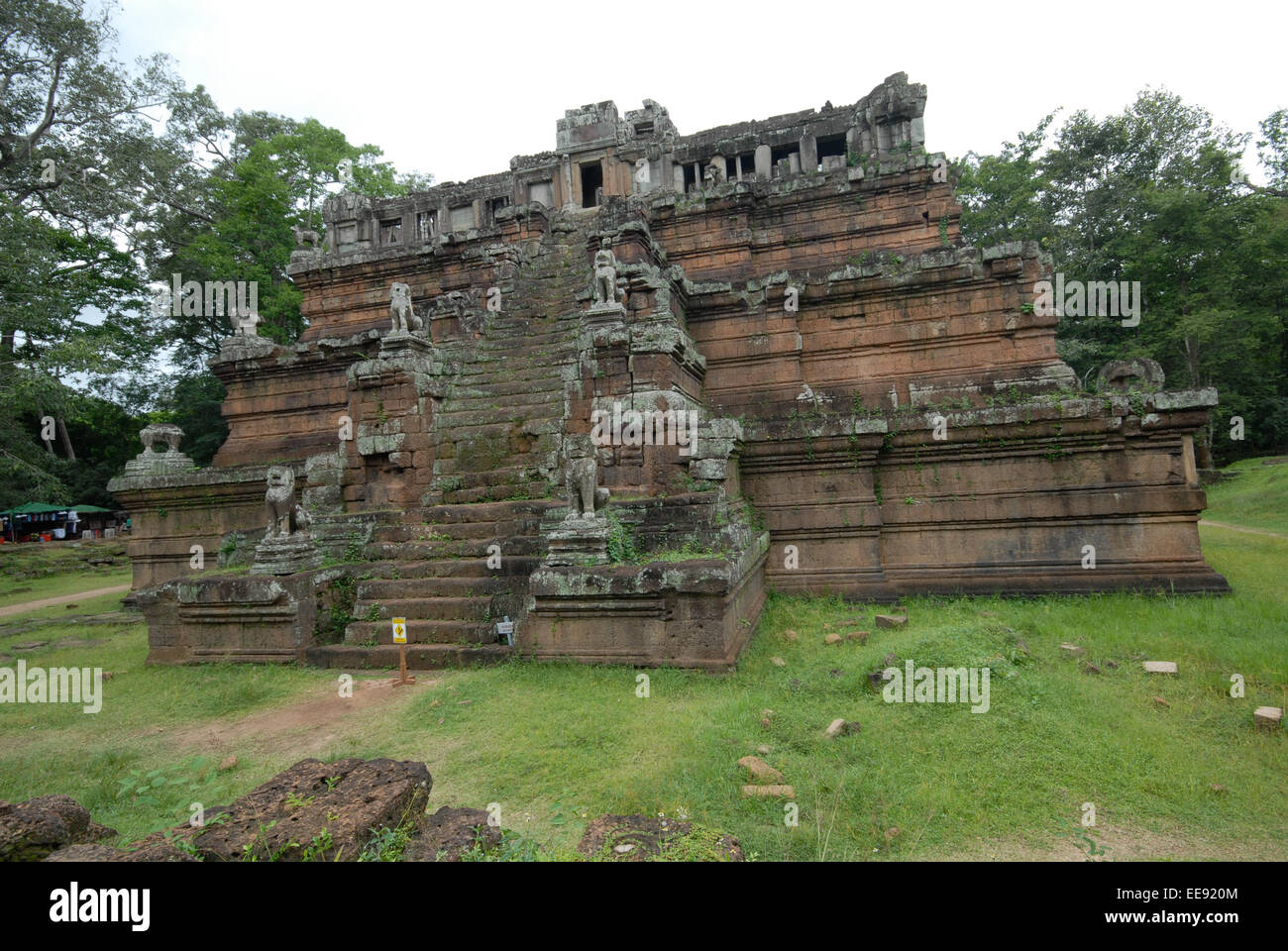 Ta Prohm Cambodge d'Angkor Wat Banque D'Images