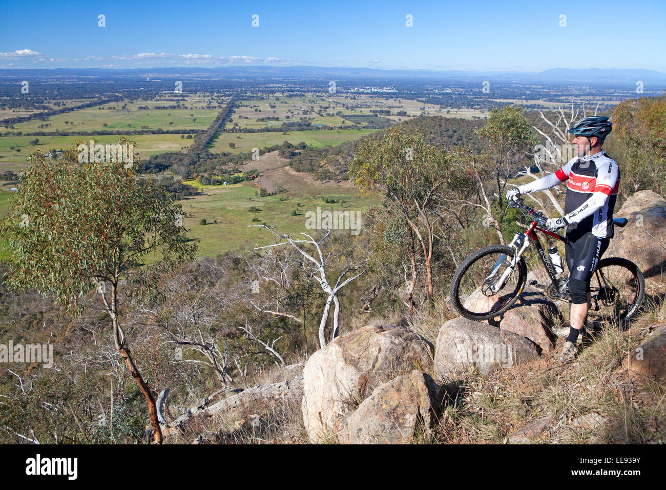 Coureur au gammes Warby Banque D'Images