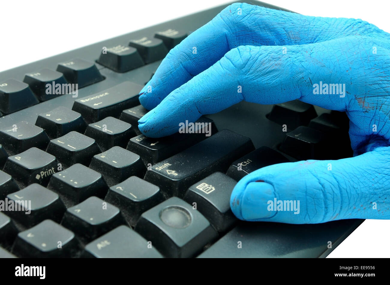 L'homme peint en bleu à l'aide d'un clavier sur fond blanc Banque D'Images