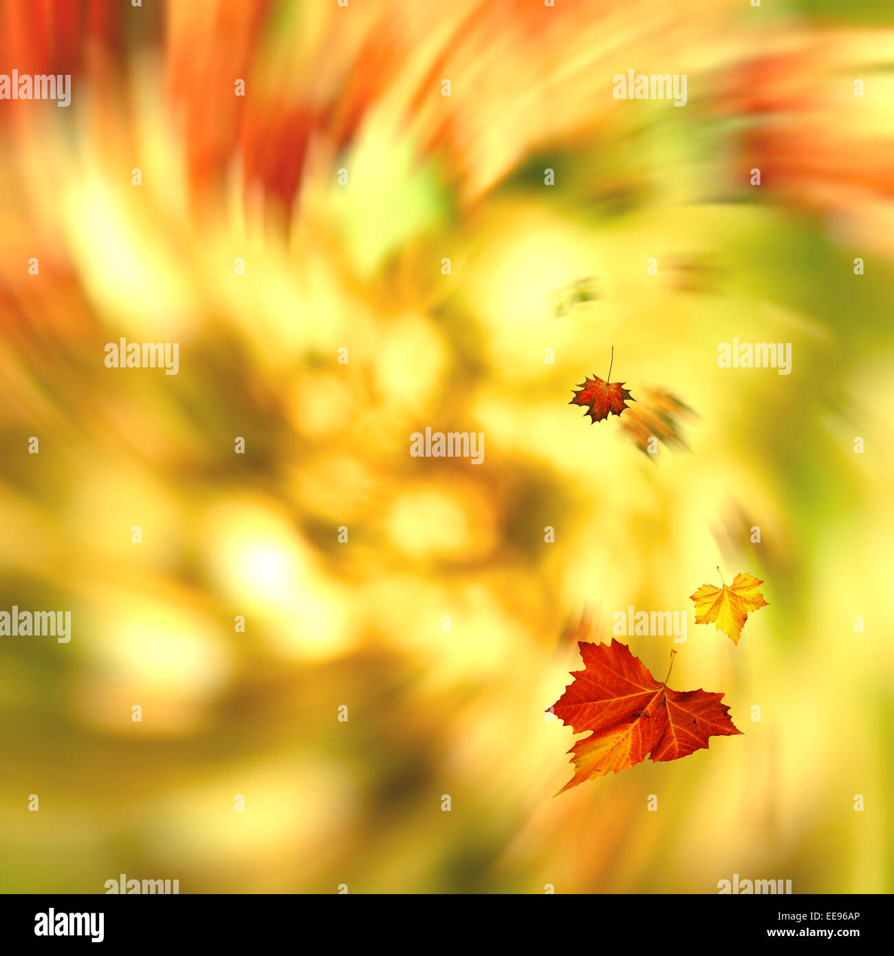 Tourbillon d'automne, abstract backgrounds saisonniers Banque D'Images