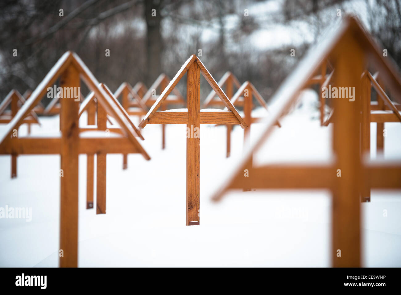 Croix de bois du cimetière militaire de la PREMIÈRE GUERRE MONDIALE sur l'hiver au Banque D'Images