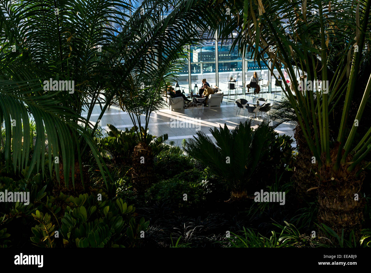Le Sky Garden est un jardin public et plate-forme d'observation en haut de 20 Fenchurch Street, également connu sous le nom de Walkie-Talkie de Banque D'Images