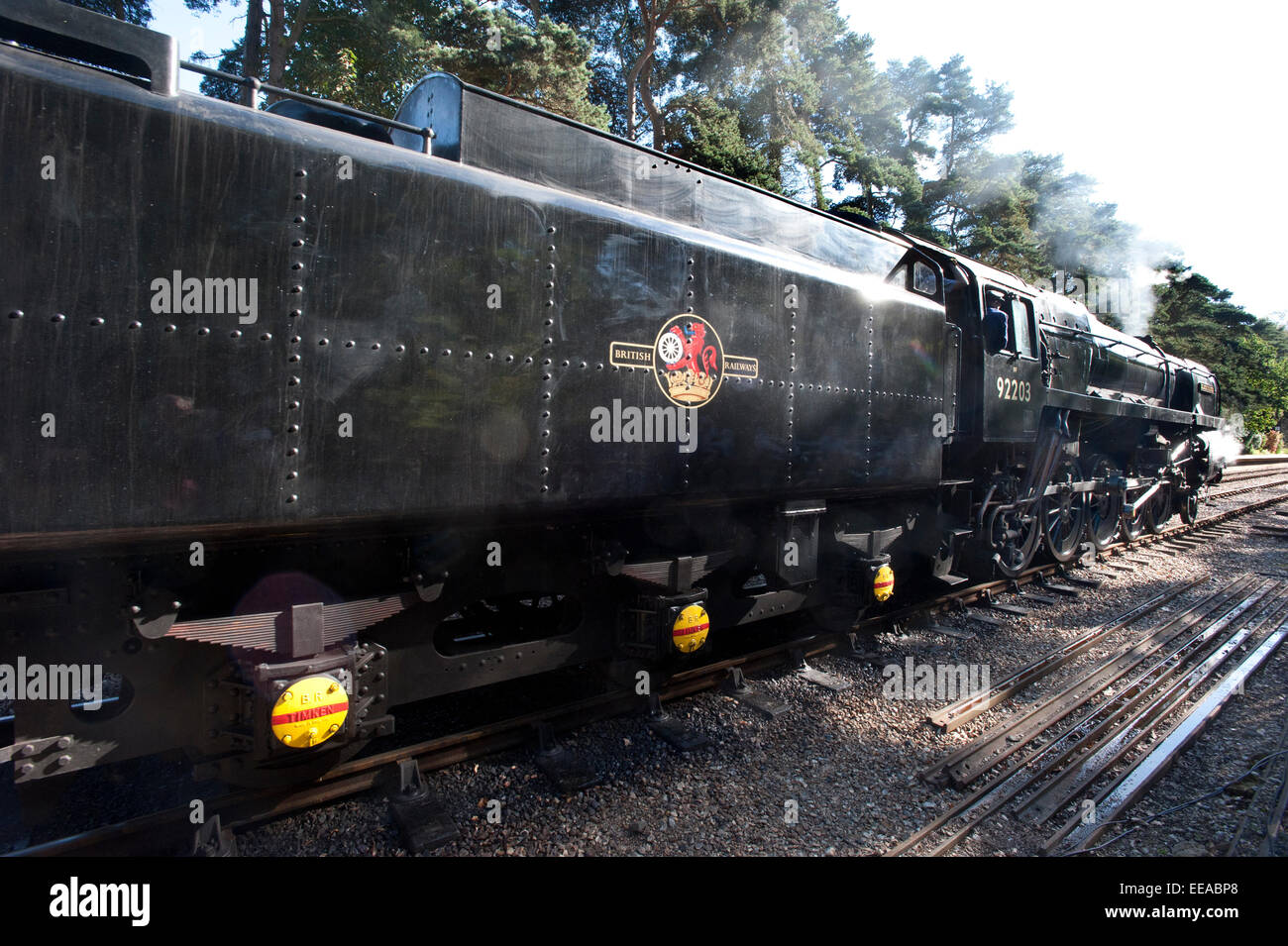 Le conducteur de 9F 2-10-0 numéro de la Locomotive à vapeur 92203 'Black Prince' vérifie la route en avant car il va autour de son train à la gare de Holt sur le North Norfolk de fer entre Holt et Sheringham, près de Norwich, Norfolk. Le célèbre chemin de fer et des animaux Artiste David Shepherd restauré cette machine à vapeur en état de fonctionnement. Banque D'Images